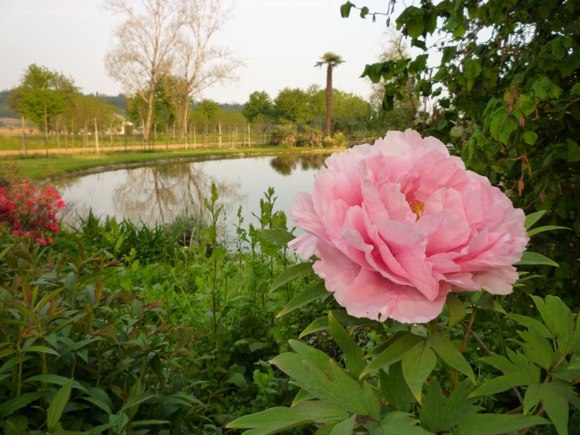 Country House Barone D'Asolo Exterior photo